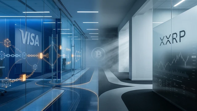 Institutionelle Blockchain-Integration: Organische Akzeptanz vs. konstruierte Nachfrage